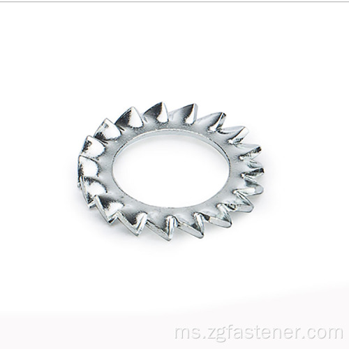 Gigi Stainless Steel Gigi Serrated Lock Washer DIN6798